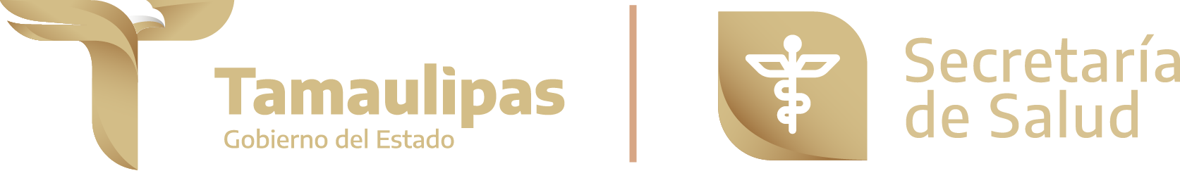 Medicina Estilo de Vida Saludable